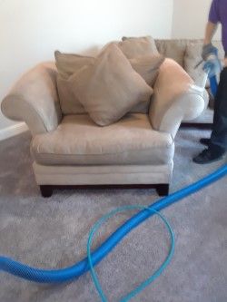 Upholstery Cleaning