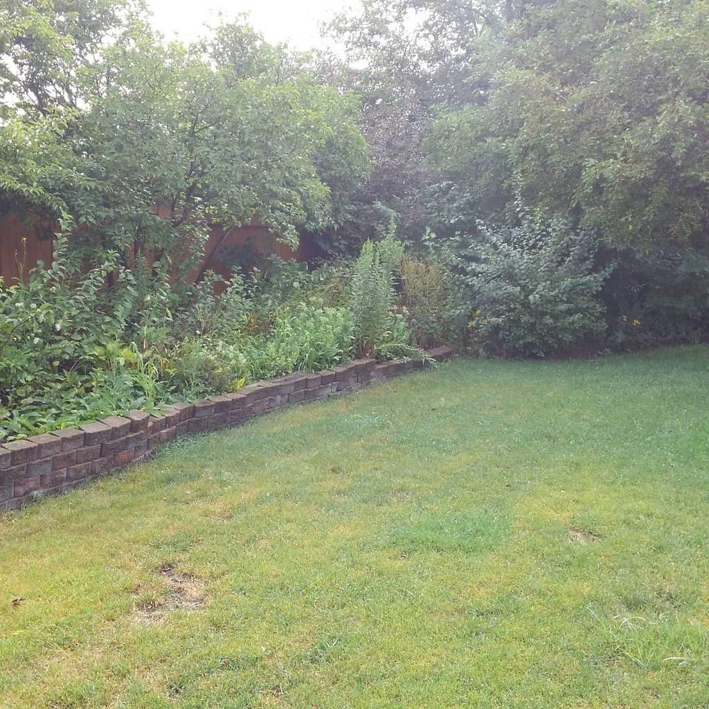 before: weed removal and plant removal