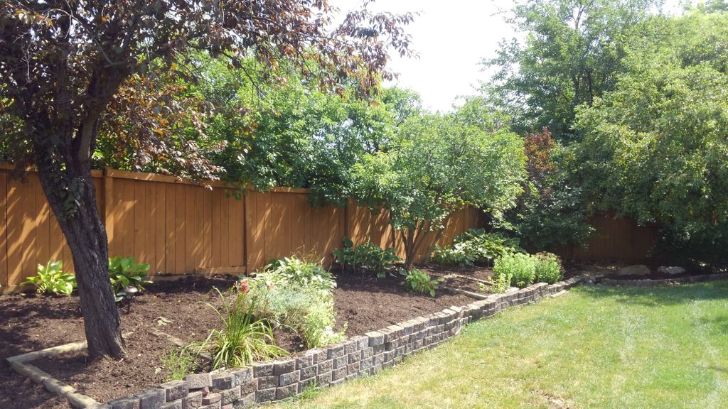 After: mulch installed,new plants as well