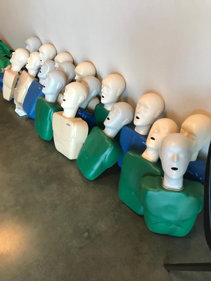 Mannequins lined up ready to help teach CPR
