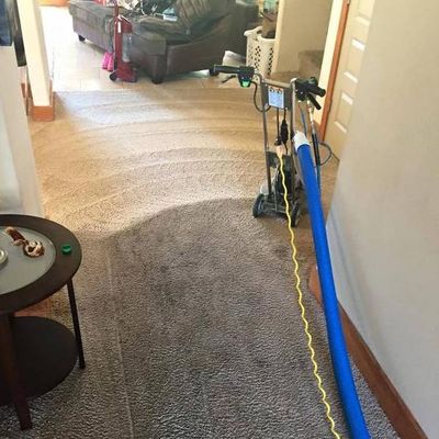 Avatar for Mr clean carpet care