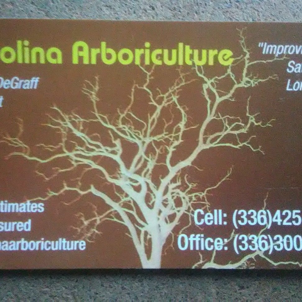Carolina Arboriculture