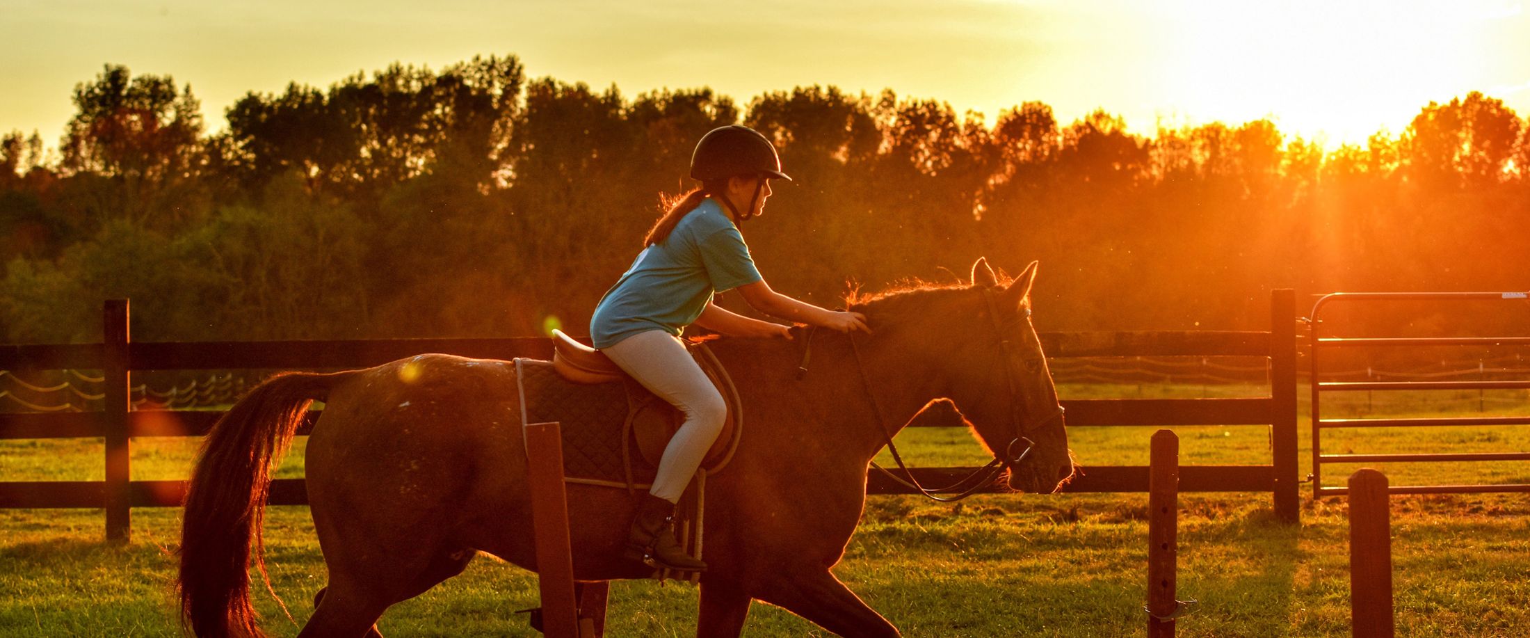 The 10 Best Horse Jumping Lessons Near Me (with Free Estimates)