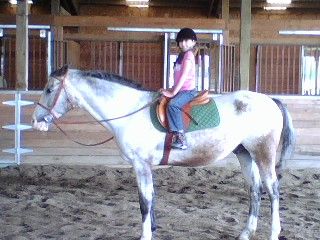 My daughter Sarah on her horse Mr. T.