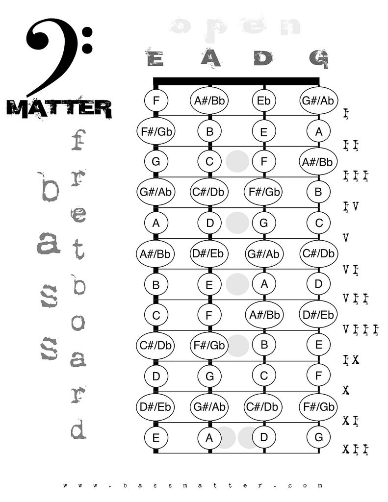 Spokane Bass Lessons and Bass Matter fret board ch