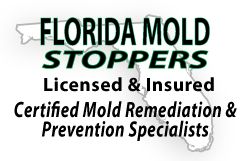 Florida Mold Stoppers