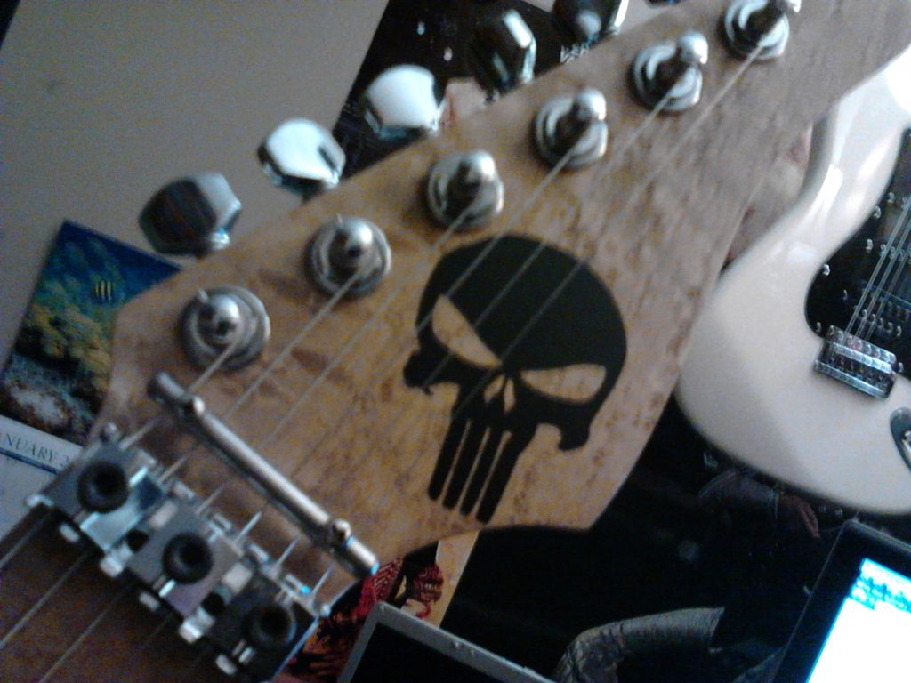 The home of Punisher Guitars Hand made in the USA!