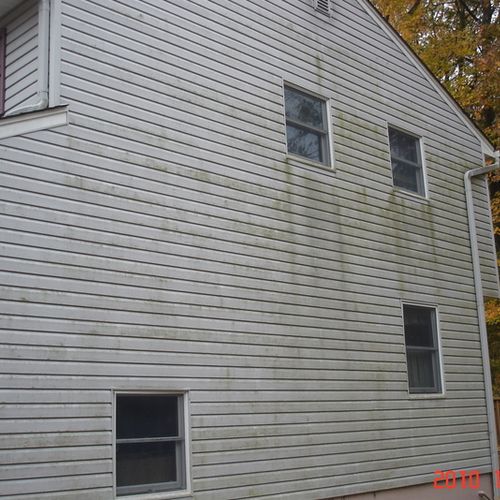 vinyl siding wcovered in green mold