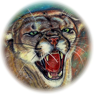 Big Cougar Illustration
