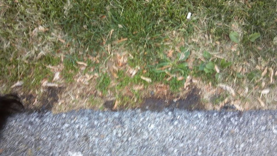 A Big Name company is now pushing its weed control