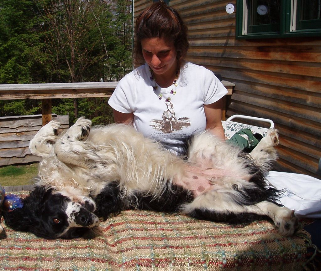 Zoni asked for a Reiki session after her mom had f