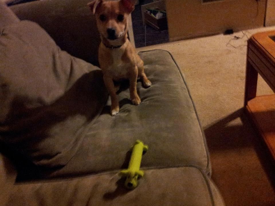 Bentley completed Basic Training