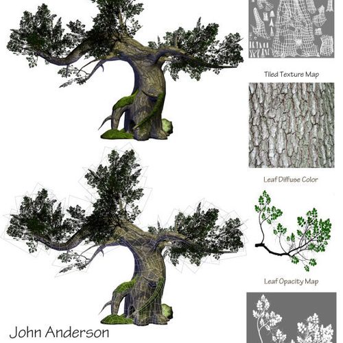 Game Asset - Ancient Oak Tree