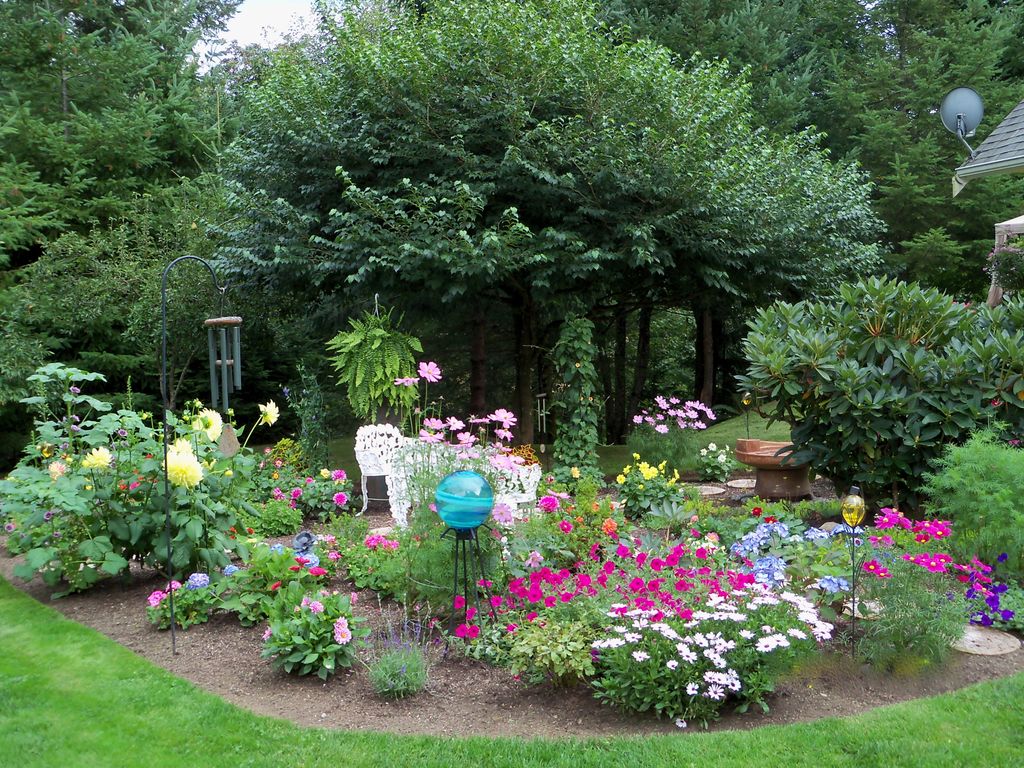 Meditate in the Energy Garden