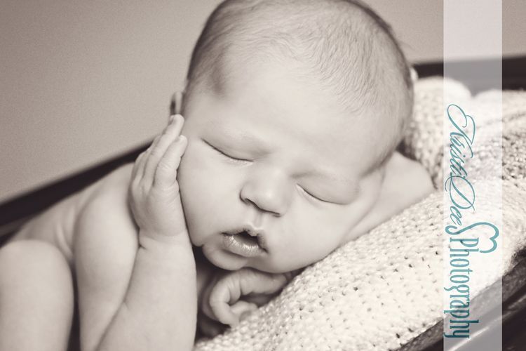 Newborn Photography - In-Studio