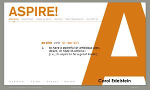 www.caroledelstein.com (Aspire! Group)