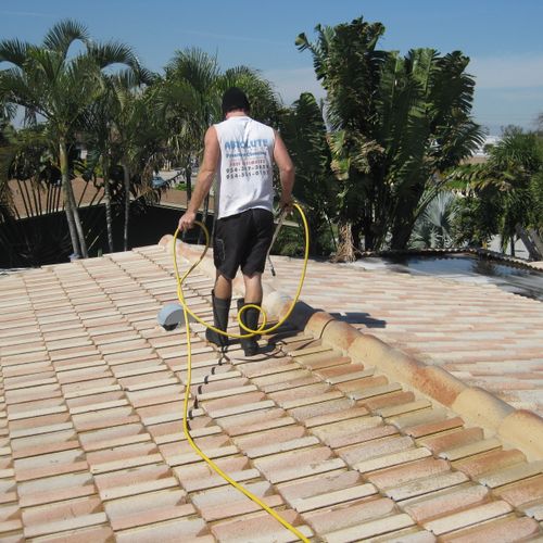 Chemical roof treatment.  Chemical roof cleaning. 