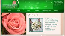 One of the websites Krative designed.