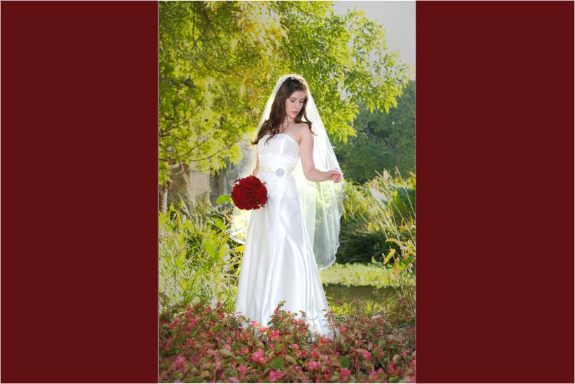 Dallas Arboretum Photography