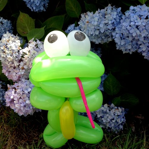 Frog Balloon Art