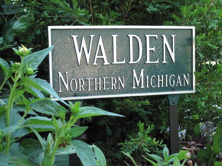 Walden Counseling