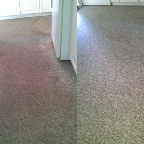 Long Island carpet cleaning by Beyond Maids inc.