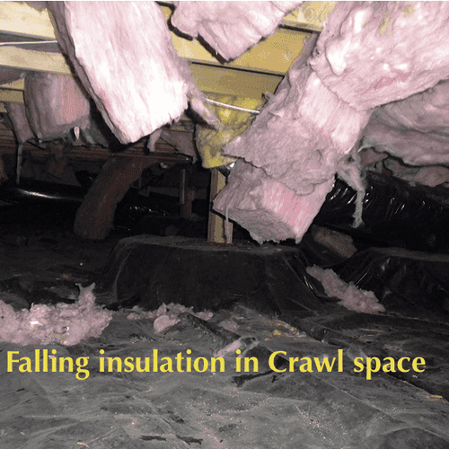 A good reason to inspect a crawlspace. Not a safet