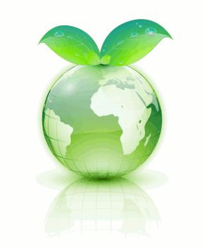 Apple Eco-Friendly Cleaning LLC