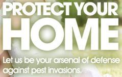 Protect your home!
