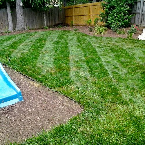 We offer Lawn Striping for an absolutely beatiful 