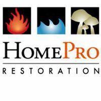 HomePro Restoration Carpet Cleaning Division