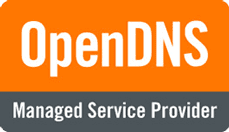 Open DNS Managed Service Provider in San Antonio