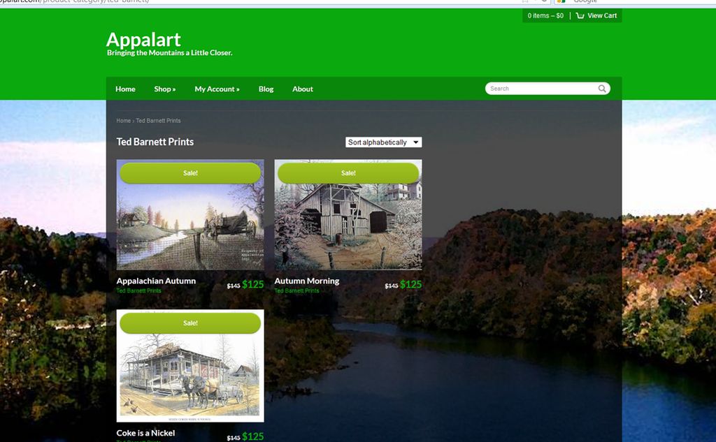 An eCommerce site built for an art company.