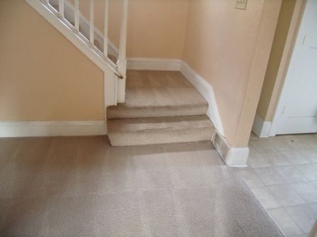 carpet cleaning after