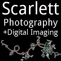 Scarlett Photography and Digital Imaging