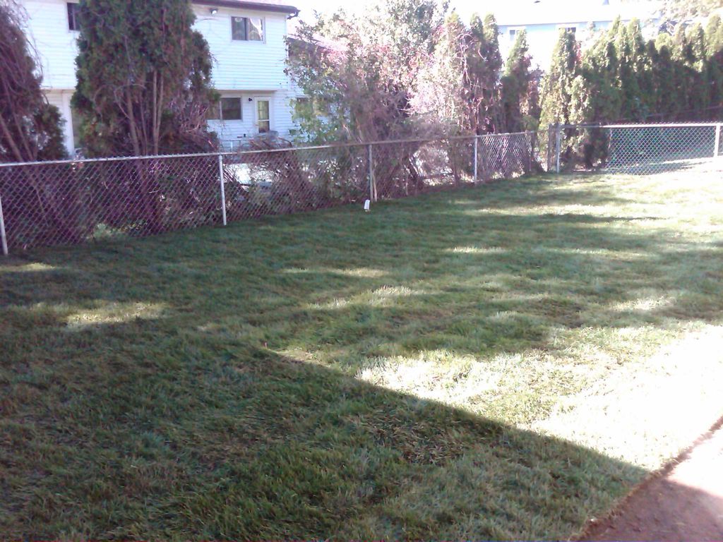 New sod installation. 732-577-1119