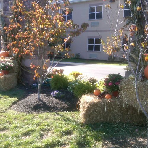 Fall Decorations - Another View