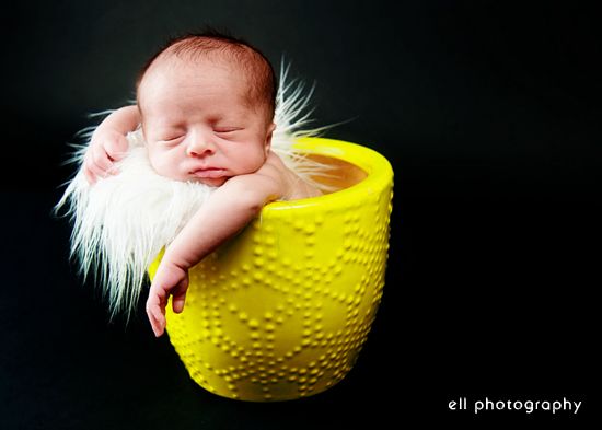 Artistic Newborn Photography