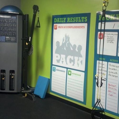 PACK truly personalized small group training

Fitn