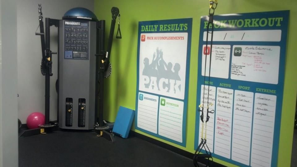 PACK truly personalized small group training

Fitn