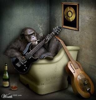 Monkeyman Music & RawHyde Guitar Studio