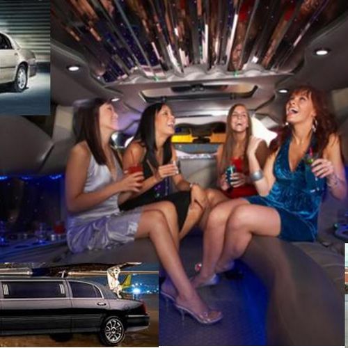 Limo, Party Bus