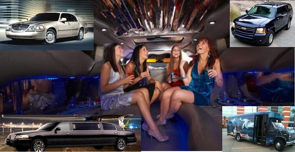 Limo, Party Bus