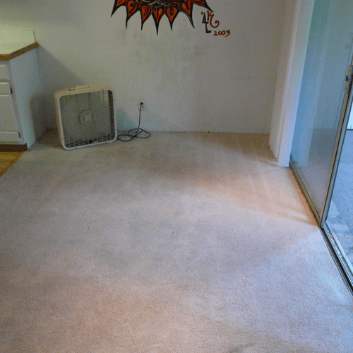cleaned carpet after cleaning (grey areas is from 