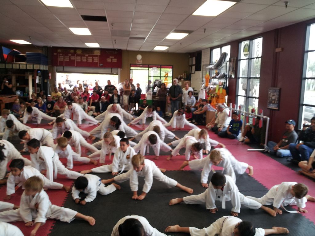 Karate Kids In America