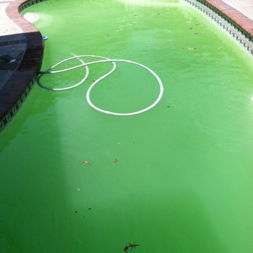 This Green Pool Can Be Fixed in Hours!