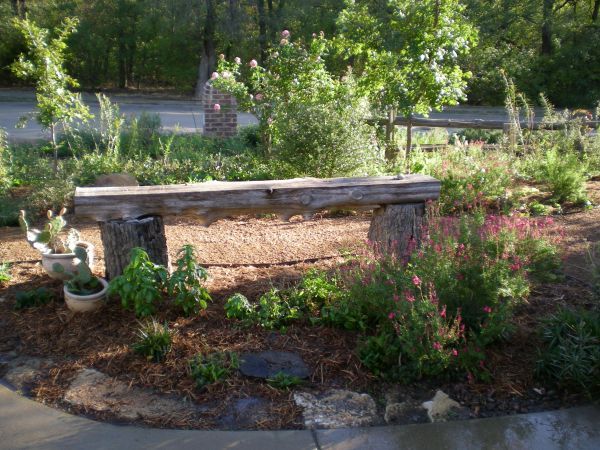 Native landscape