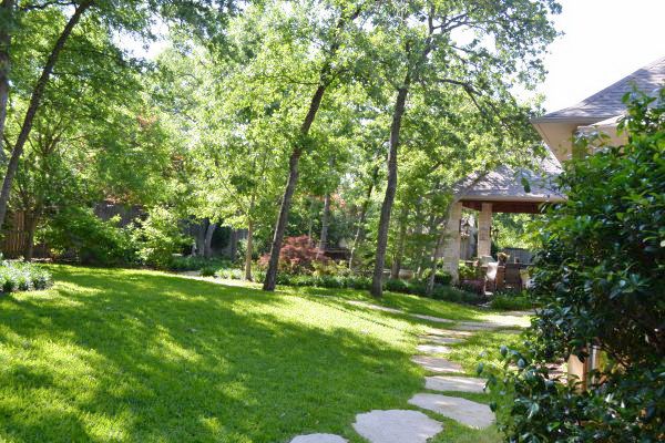 Backyard oasis