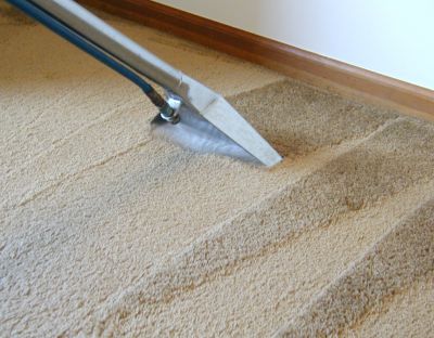 Bass Carpet & Upholstery Cleaning