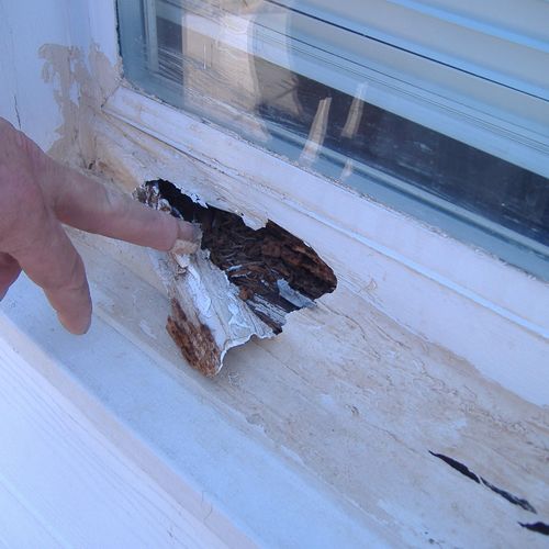 Repair wood rot around windows, trim and siding.
